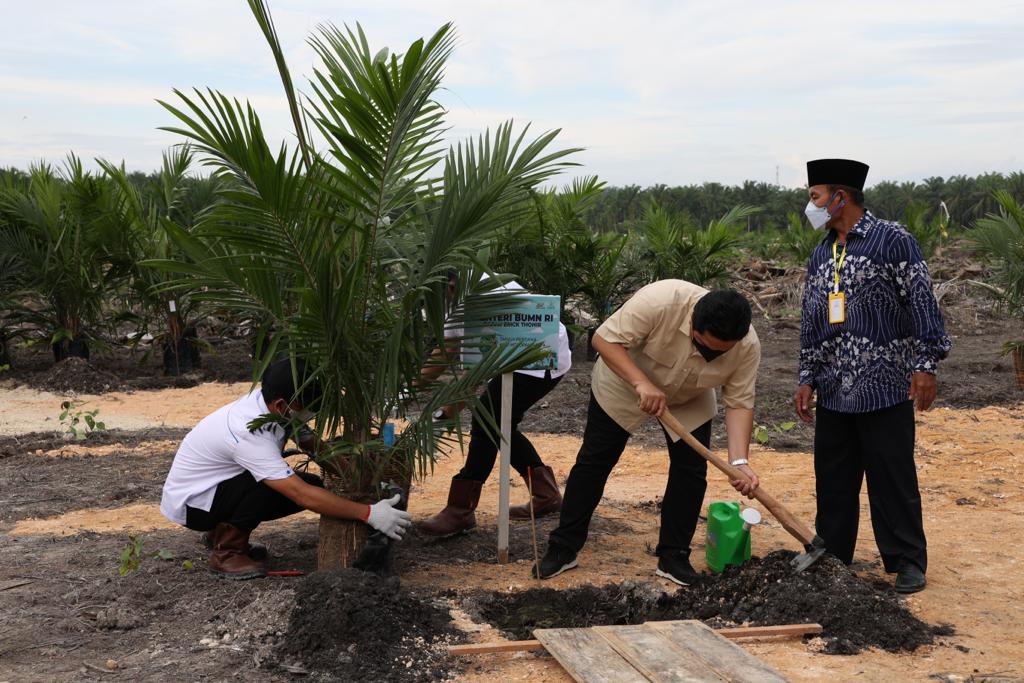 Menteri BUMN, Erick Thohir menanam pohon di lahan milik PT Perkebunan Nusantara V di Kabupaten Kampar, Riau