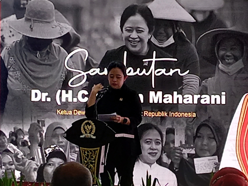 Puan Maharani
