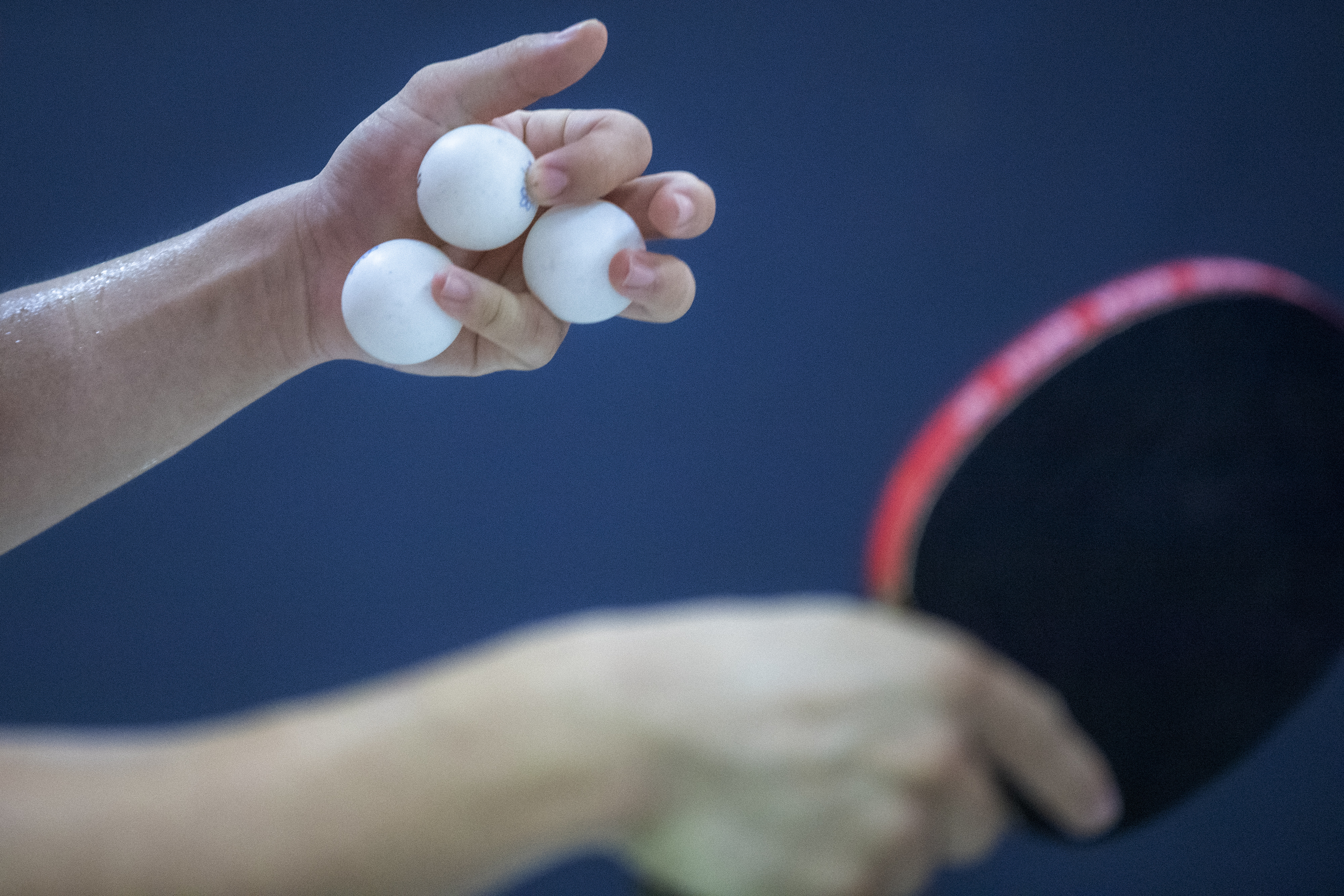 Bola dan bet tenis meja.