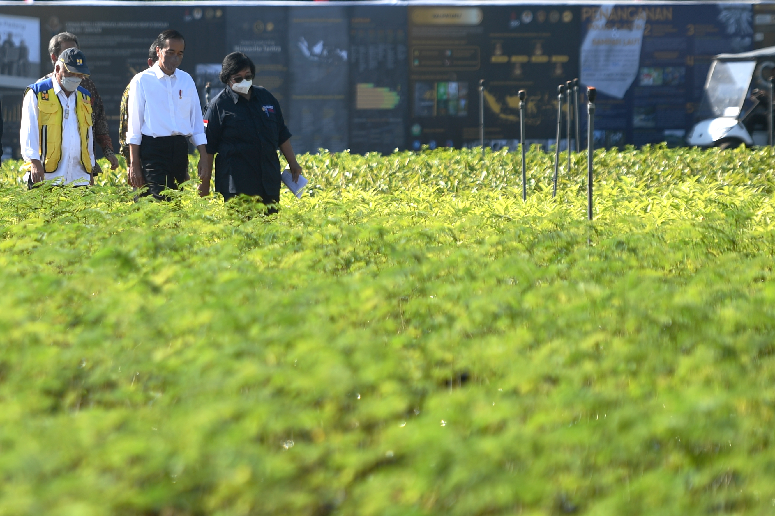 Presiden meresmikan persemaian modern Rumpin, Jumat (10/6).