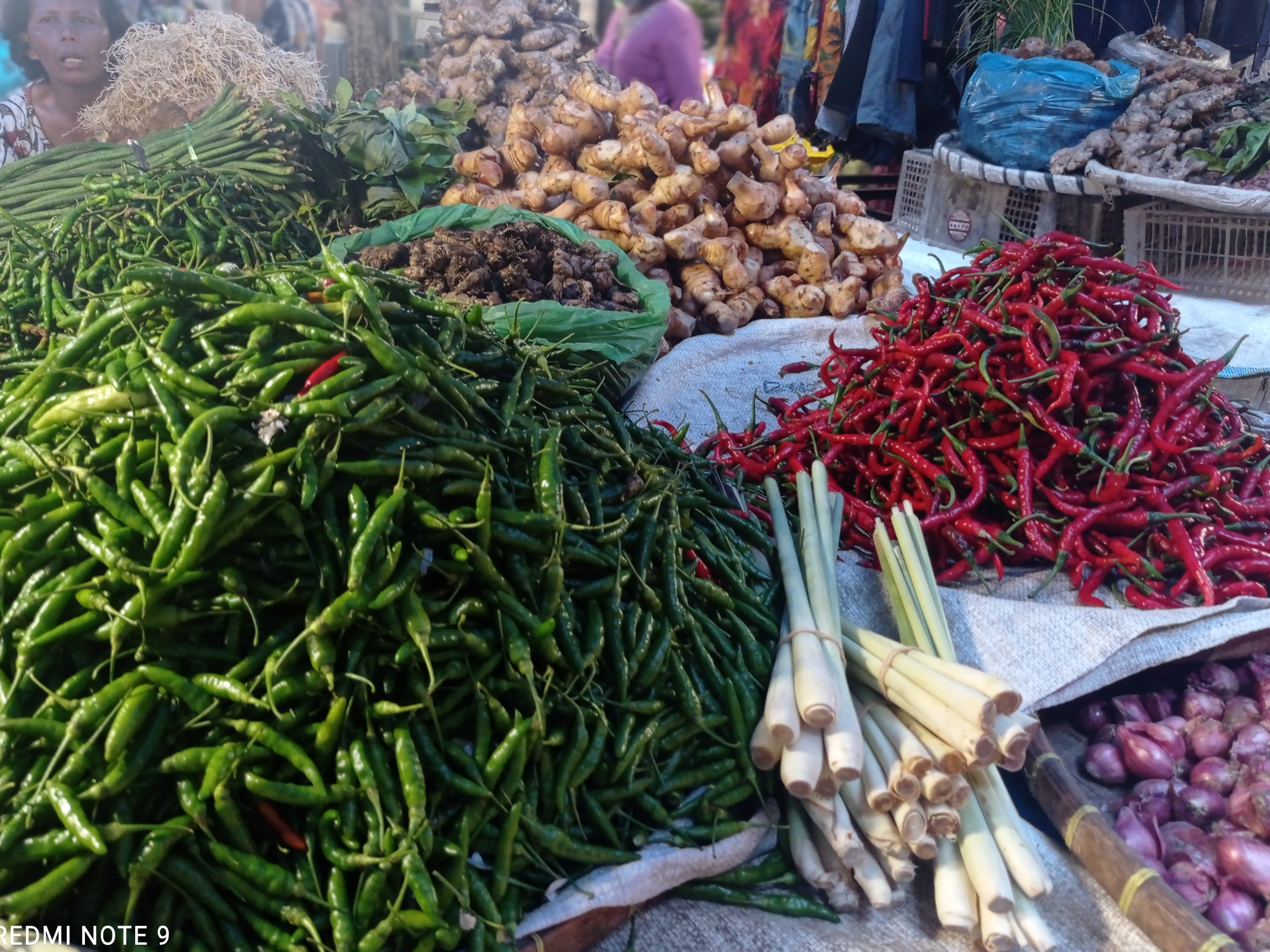 Harga cabai merah menanjak lantaran para petani kewalahan mencari pupuk selain langka di pasar. 