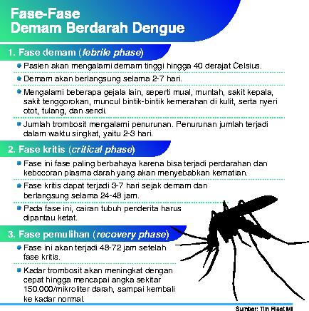 Demam Berdarah Kembali Merebak, Ini 6 Strategi Pemerintah