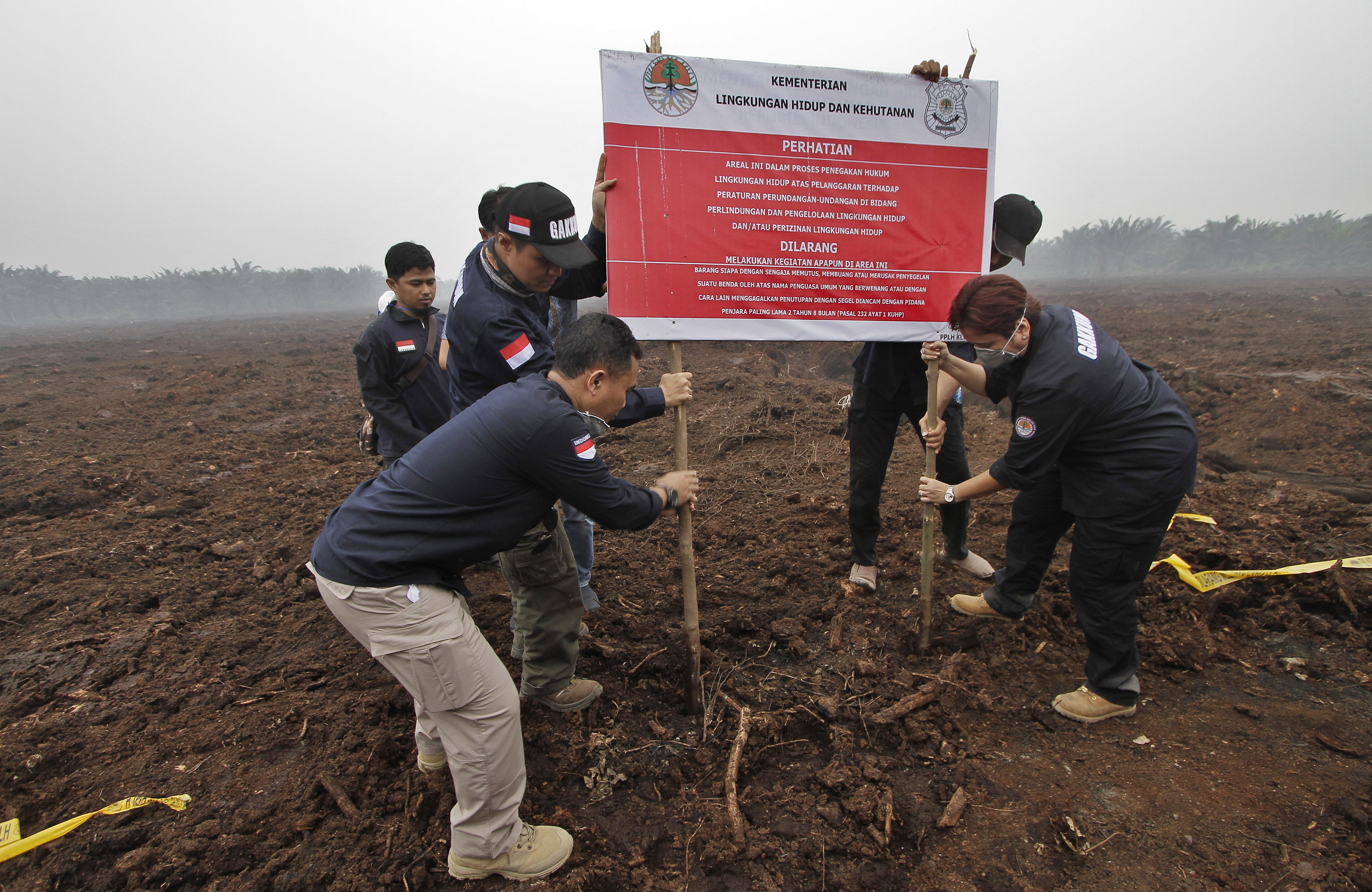  PENYEGELAN LAHAN: Sejumlah petugas Ditjen Penegakan Hukum KLHK menyegel lahan perusahaan asal Malaysia di Kabupaten Pelalawan, Riau.