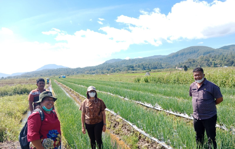 Tapanuli Utara Andalkan Pertanian setelah Pandemi Covid-19 Melandai