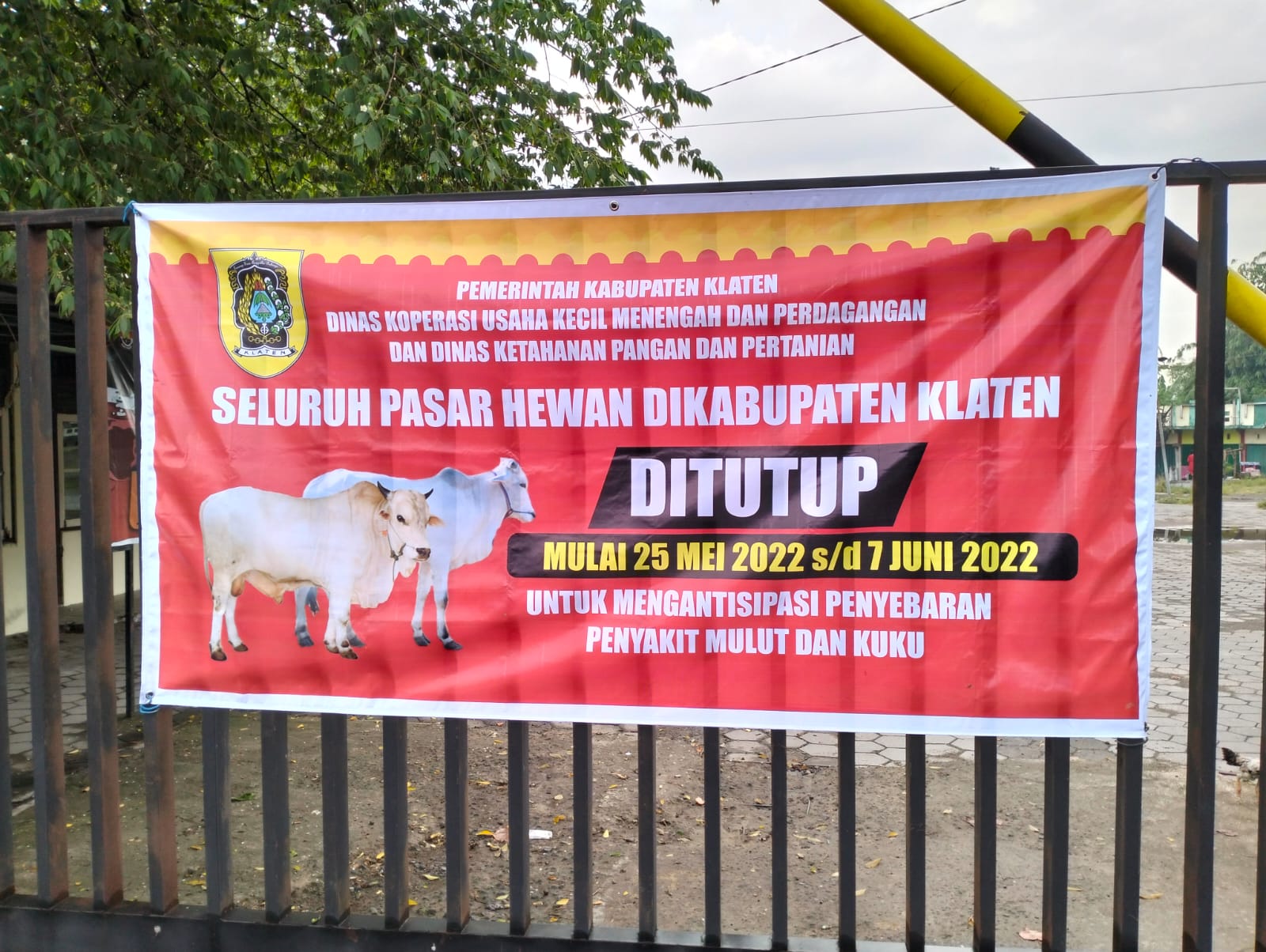 Pasar hewan di Kabupaten Klaten ditutup kembali hingga 21 Juni 2022.