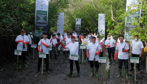 Kegiatan penanaman MAngrove Industri Jasa Keuangan di Bali