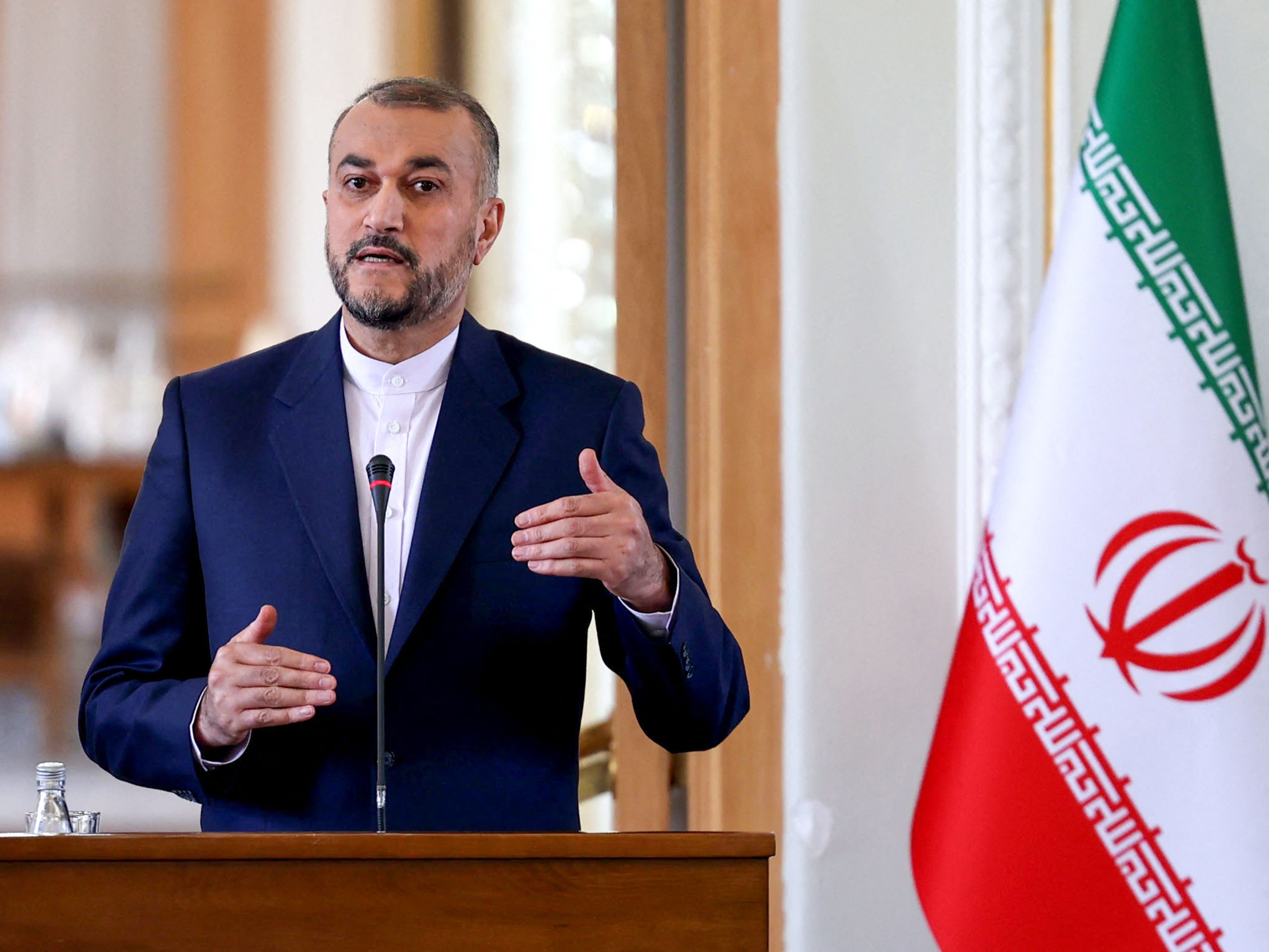 Hossein Amir-Abdollahian.