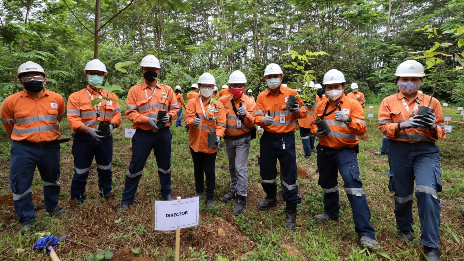 Karyawan PT T Agincourt Resources melakukan penanam pohon 