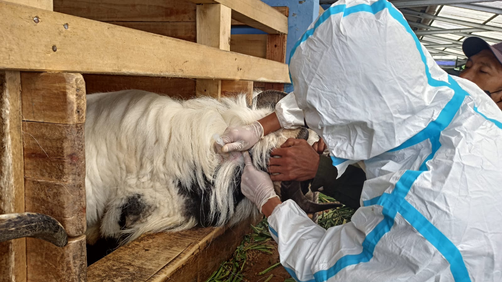  Pemerintah pusat terus melakukan koordinasi dengan daerah propinsi maupun kabupaten/kota untuk vaksinasi.