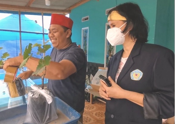  Gunawan, pelaku UMKM pembibitan anggur dan seorang mahasiswi MAB Urindo.