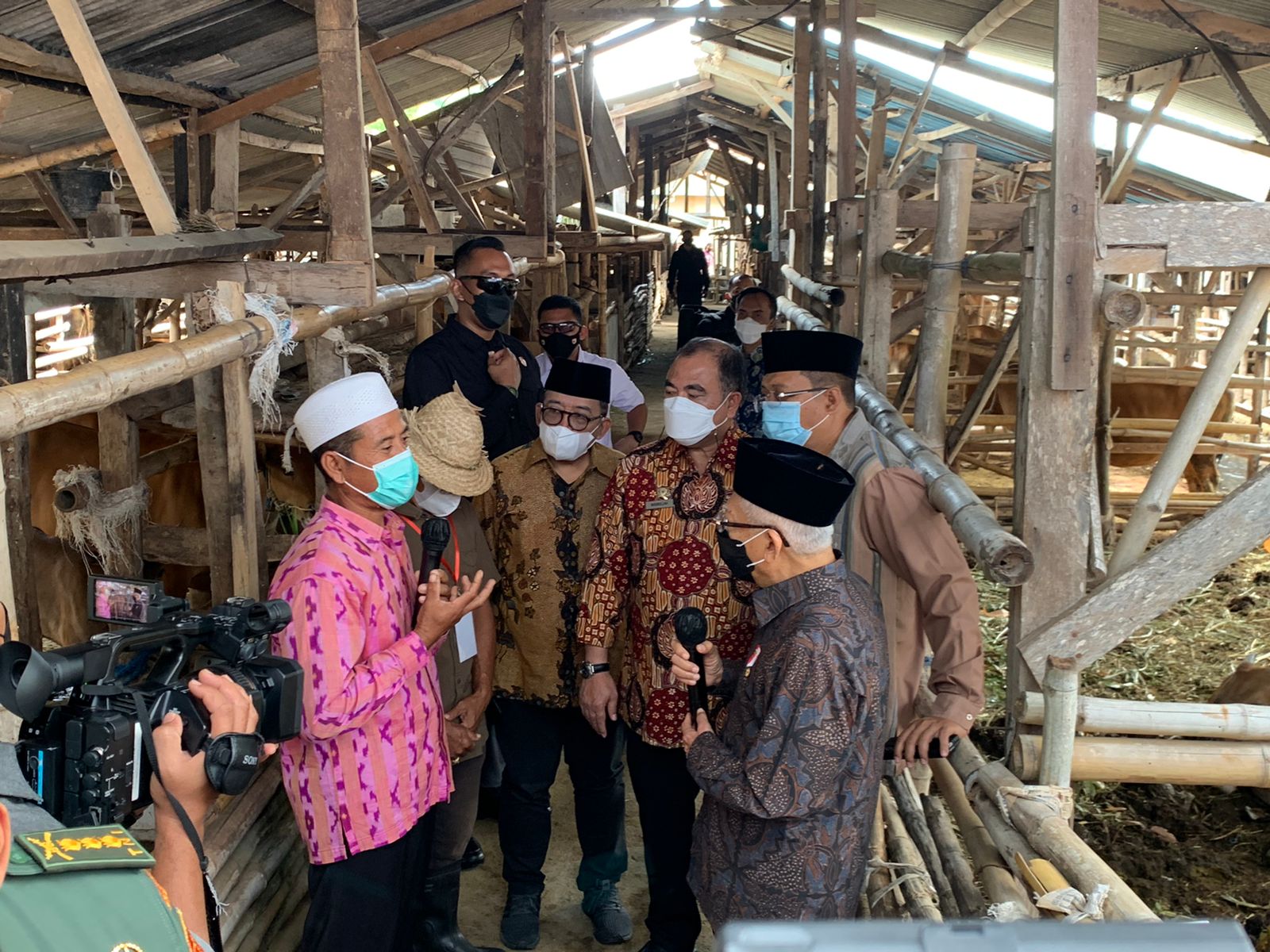 Wapres: Larang Hewan Ternak Ber-PMK Didistribusikan untuk Kurban