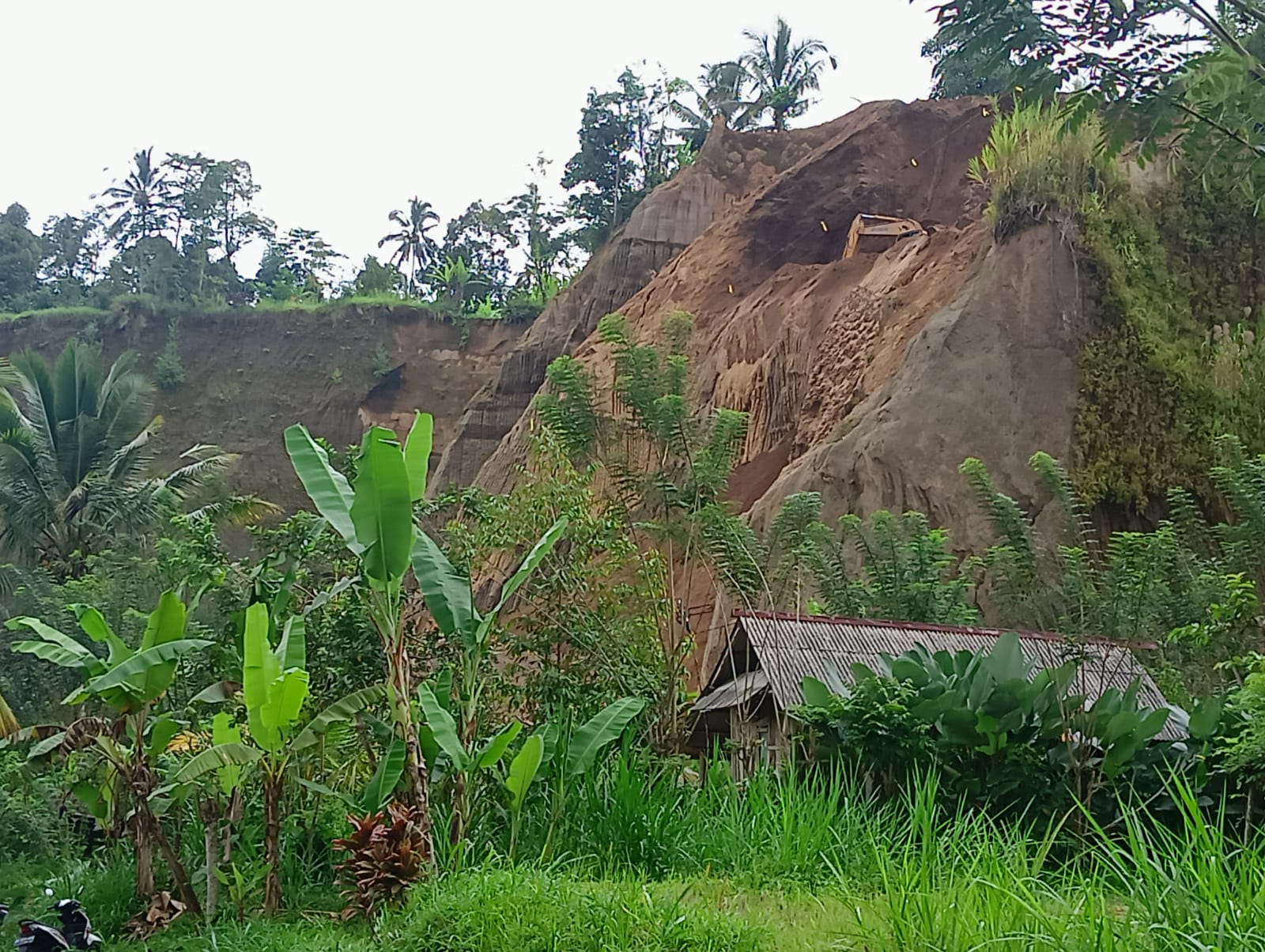 Aktivitas galian C di Bukit Angantiga Badung, Bali mulai merusak lingkungan.