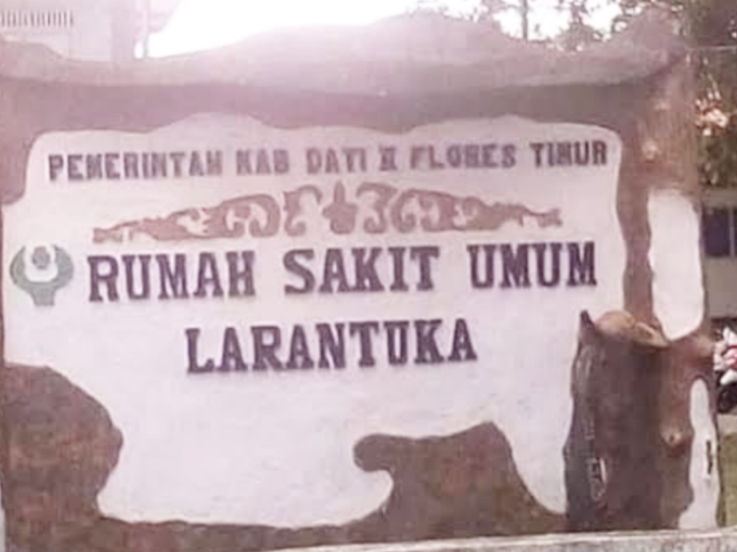 Anak Perempuan di Flores Timur Meninggal Dunia akibat Rabies