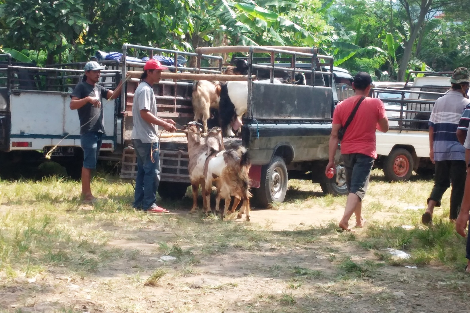 Suasana Ppasar Hewan Bawen.