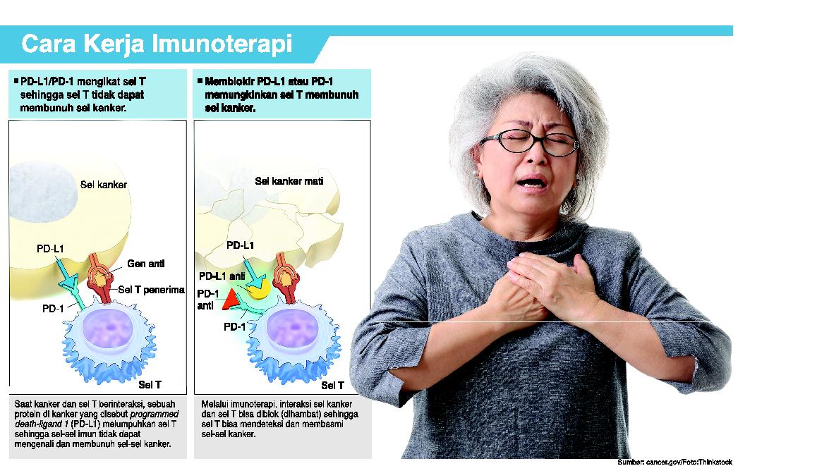 Grafis cara kerja imunoterapi.