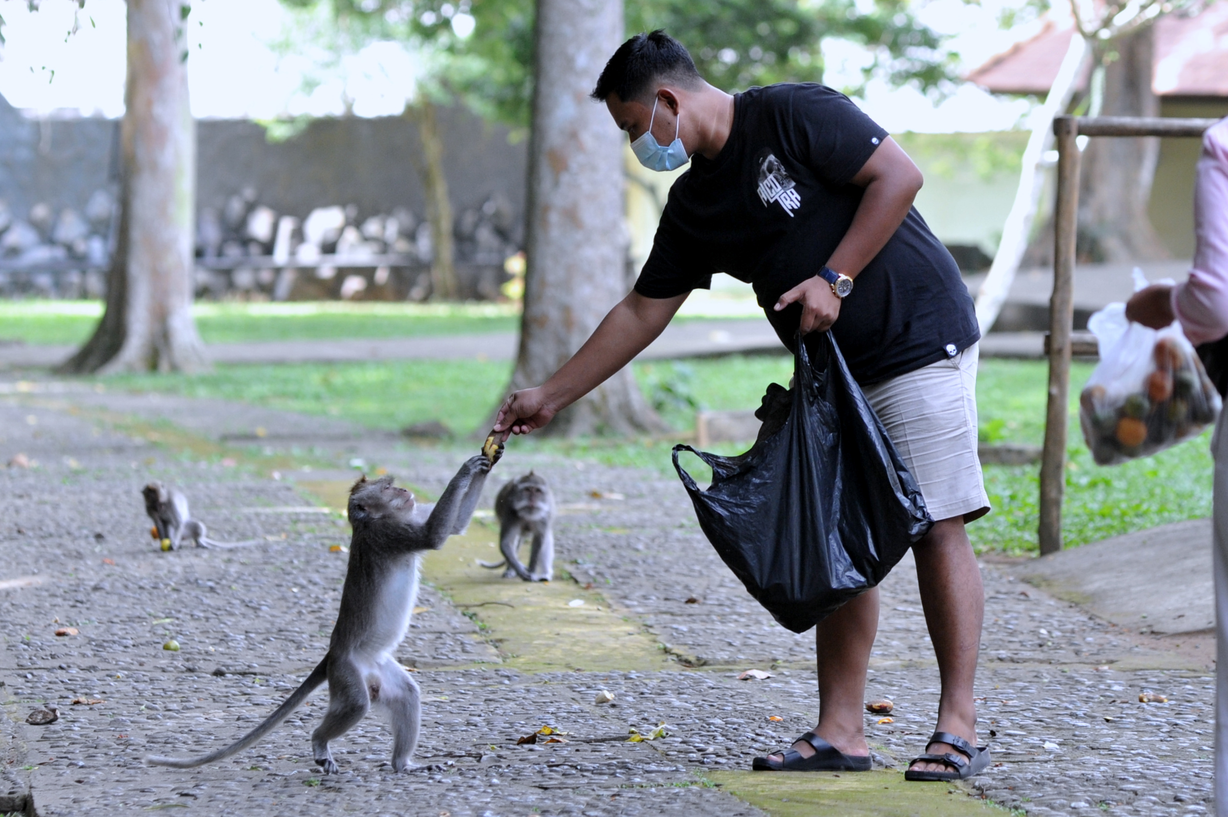 Ilustrasi interaksi hewan dan manusia