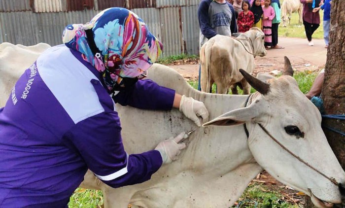 Kepala BPPSDMP Kementan, Dedi Nursyamsi [kiri] mewajibkan seluruh jajarannya wajib aktif mencegah dan menangkal PMK.
