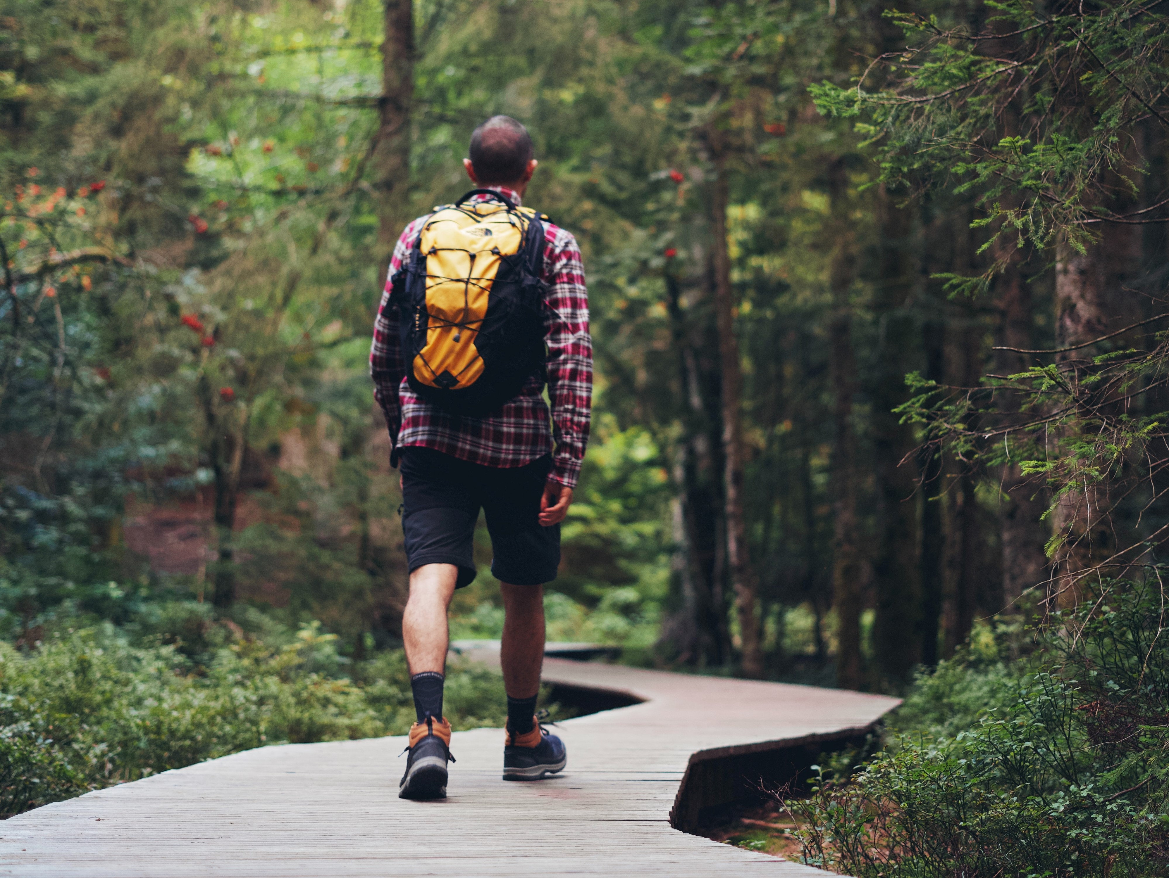 ilustrasi: Pejalan Kaki