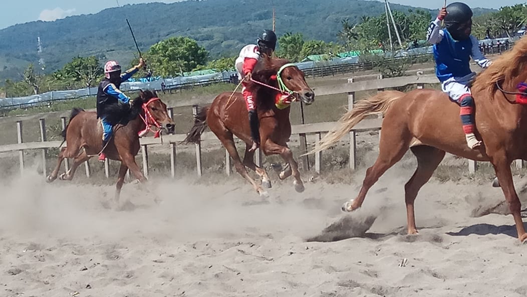 Joki Cilik di ajang pacuan kuda Sumbawa