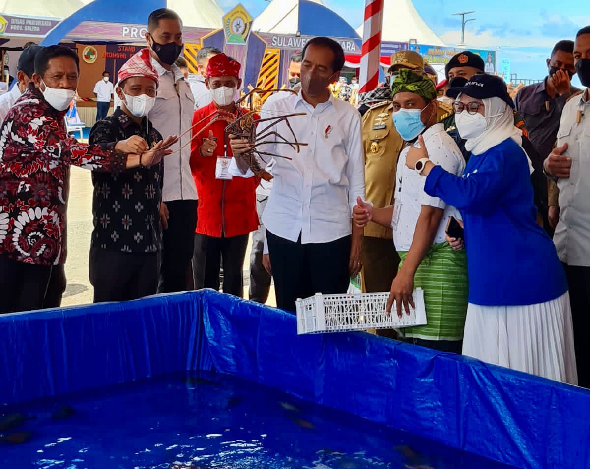 Presiden Joko Widodo memegang lobster hasil tangkapan nelayan lokal di Wakatobi, Sulawesi Tenggara,  