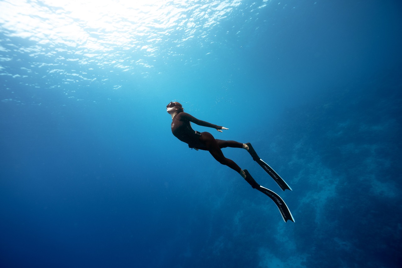 Accor menawarkan kesempatan sempurna bagi para wisatawan untuk memesan penginapan favorit mereka dengan harga eksklusif. 