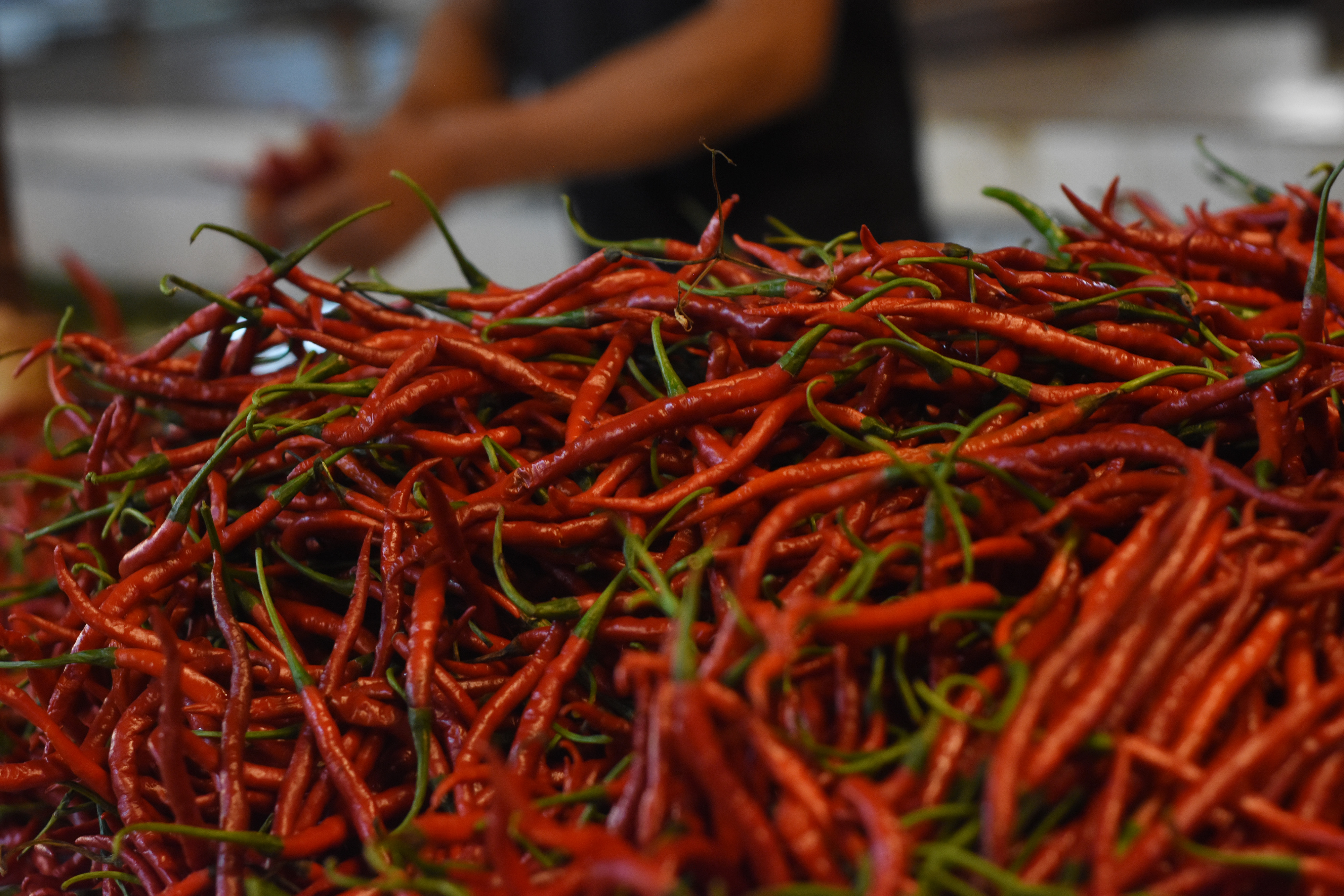  Pedagang menjual cabai merah di Pasar Palmerah, Jakarta.