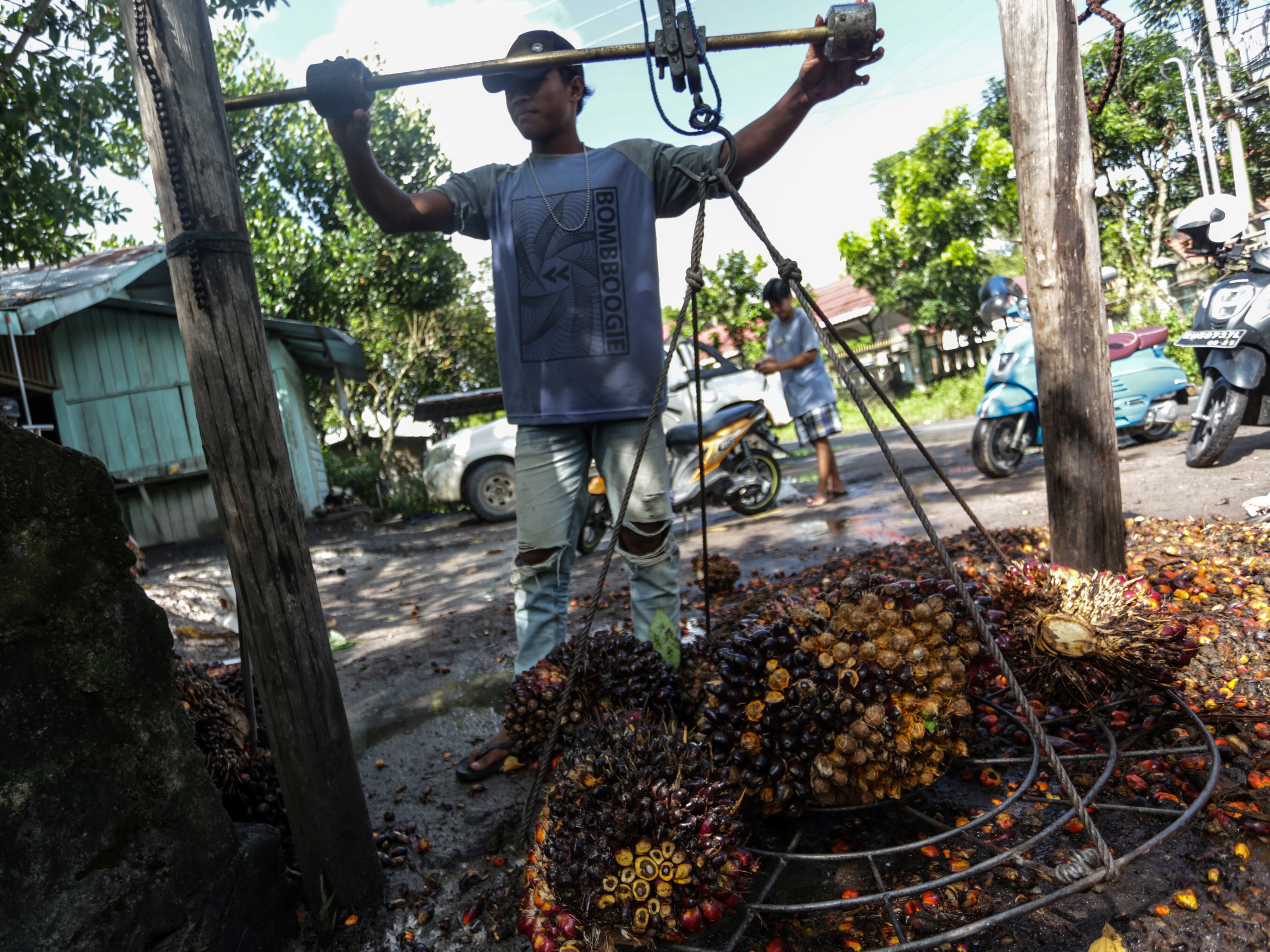 Pekerja menimbang buah kelapa sawit di salah satu tempat pengepul kelapa sawit di Jalan Mahir Mahar, Palangka Raya, Kalimantan Tengah.