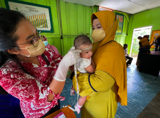  Petugas mengukur lingkar kepala bayi untuk memantau pertumbuhan anak saat Pos Pelayanan Terpadu (Posyandu) di Palu, Kamis (2/6/2022)