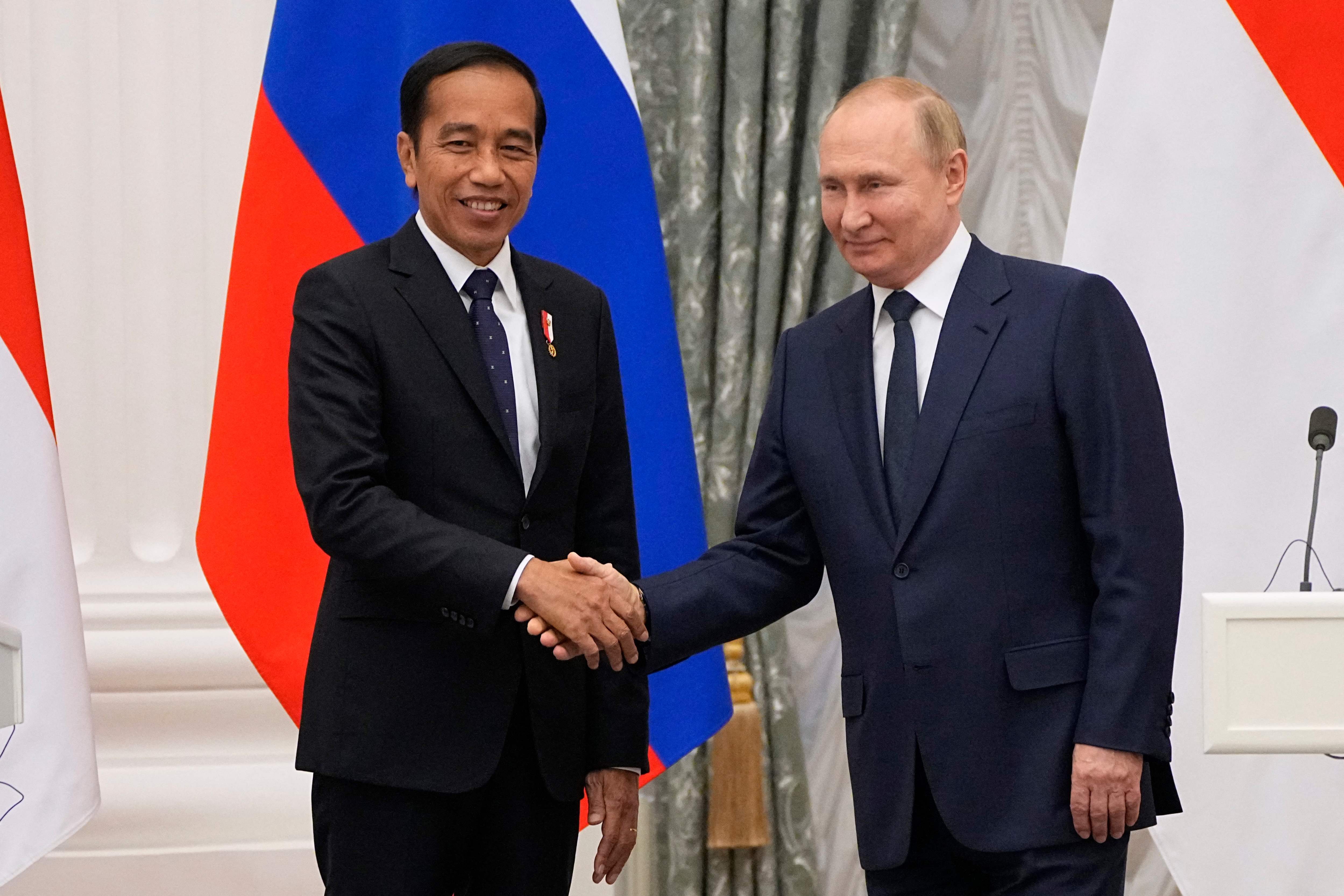 Jokowi dan Putin Banyak Berdiskusi Soal Pangan dan Pupuk
