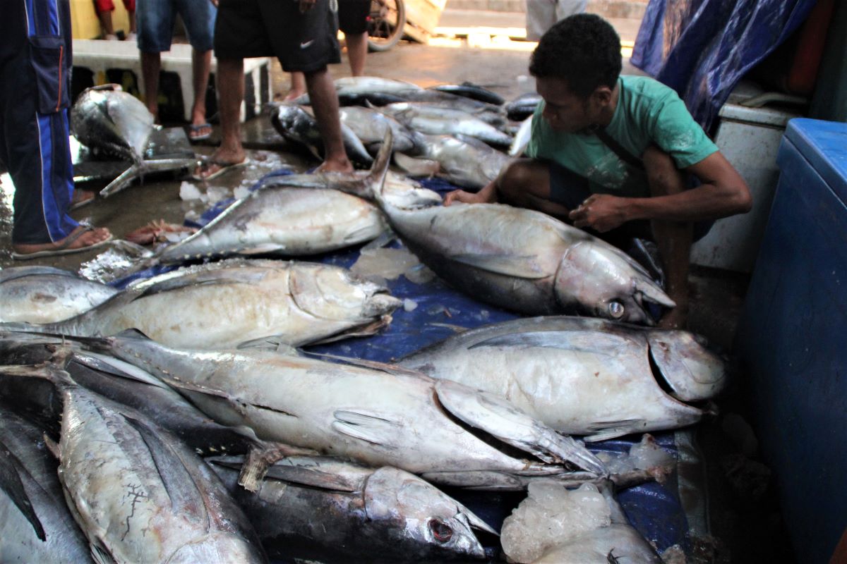 Pedagang membongkar tuna untuk dijual di Pelabuhan Pendaratan Ikan (PPI) Oeba, Kota Kupang, Nusa Tenggara Timur