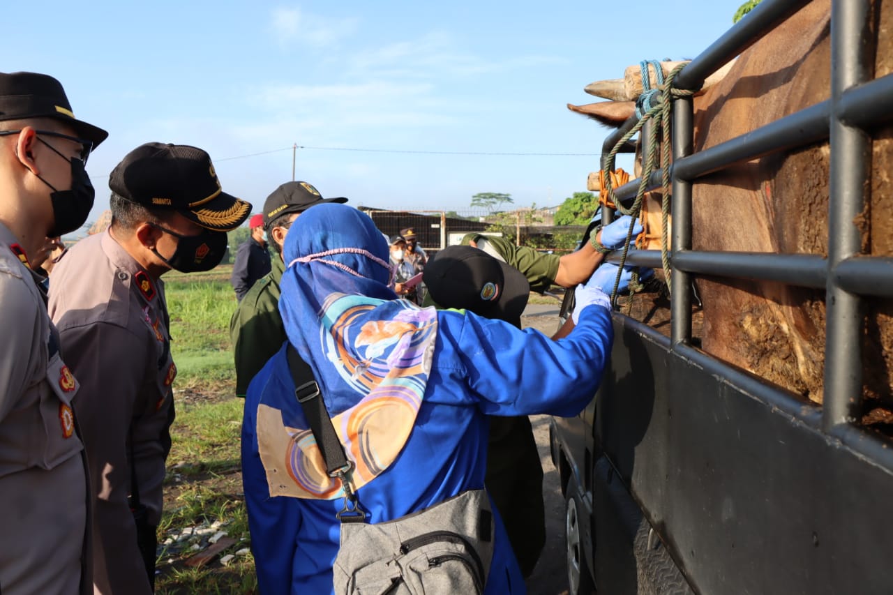 Pengawasan terhadap lalu lintas hewan ternak.