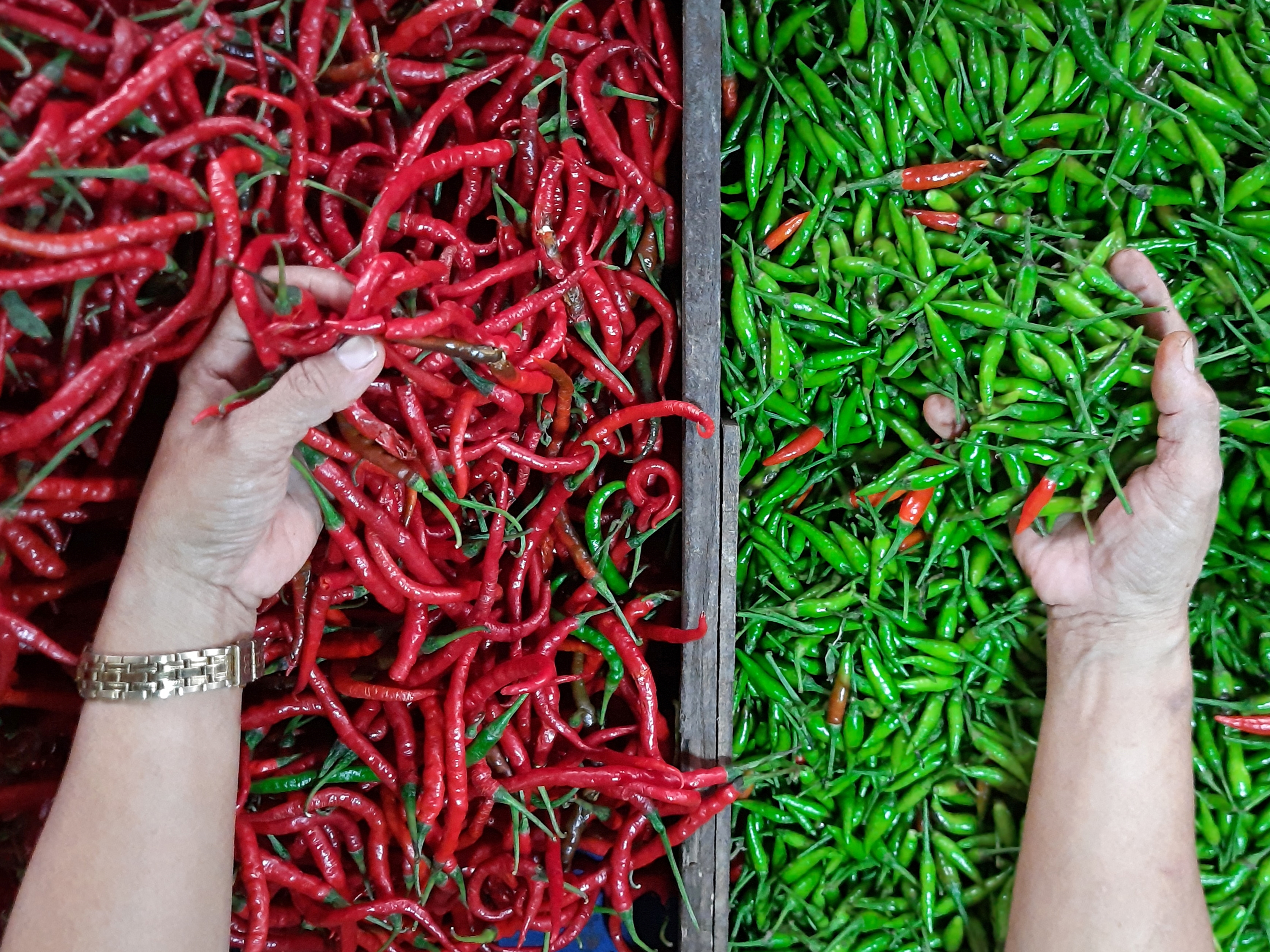 Pedagang menunjukkan stok cabai merah dan cabai rawit yang dijual di Pasar Modern Angso Duo, Jambi, Kamis (17/3/2022). 