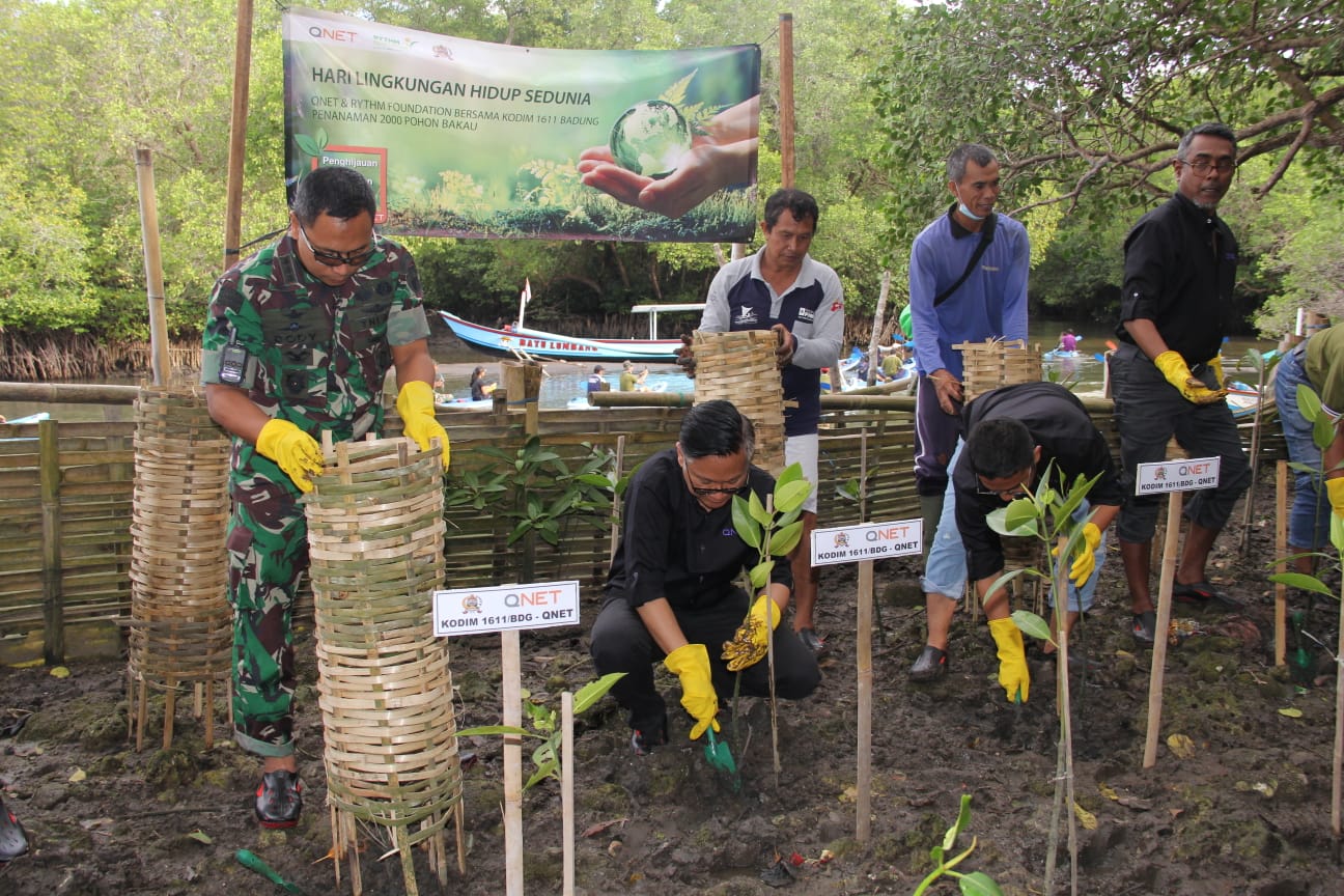 Sejumlah relawan bersama anggota TNI bersama-sama menanam bibit mangrove di Badung, Bali.