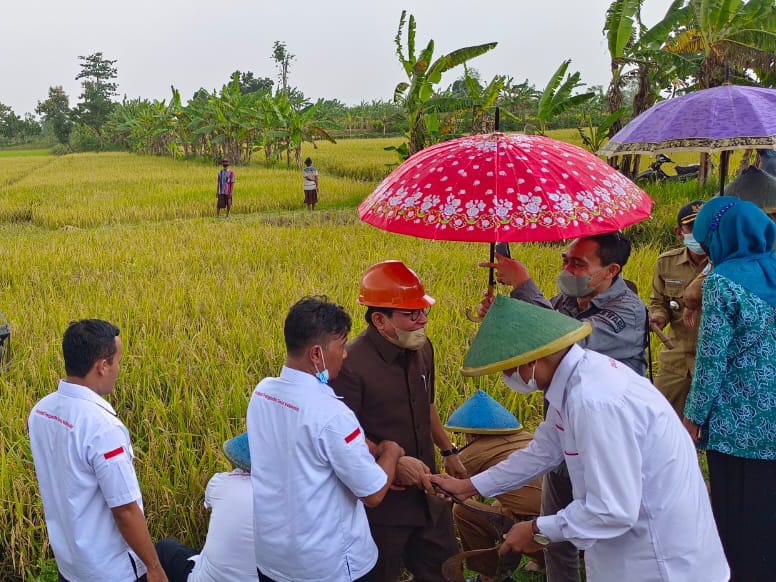 Token Sangkara Gabungkan Pertanian dan Metaverse