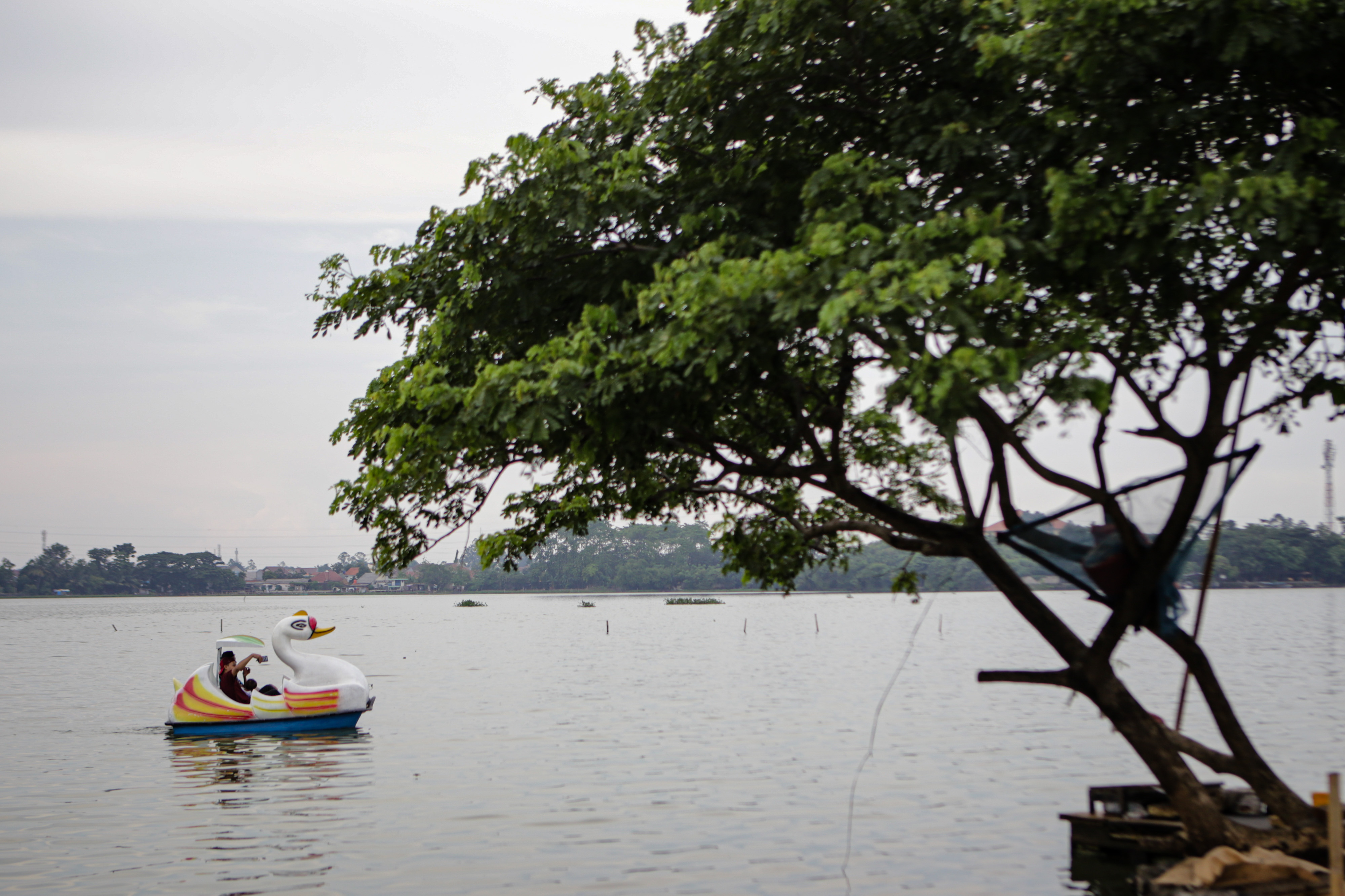Situ Cipondoh, Kota Tangerang, Banten.  