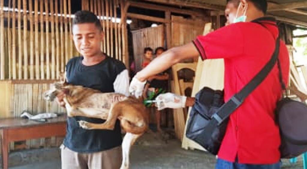 Warga sedang menvaksin anjing peliharaanya untuk mencegah rabies.