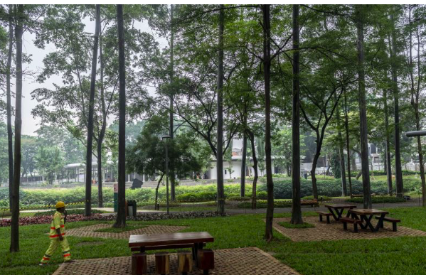 Pekerja berjalan di Tebet Eco Park, Jakarta Selatan, Rabu (15/6/2022). 