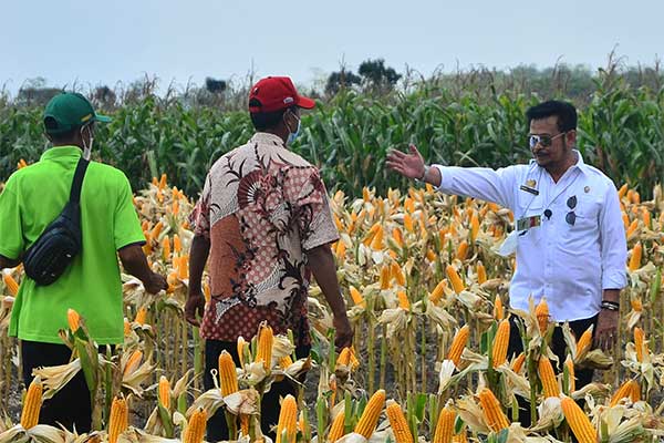 Menteri Pertanian Syahrul Yasin Limpo (kanan) sedang berbincang dengan para petani