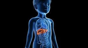 ilustrasi hepatitis akut