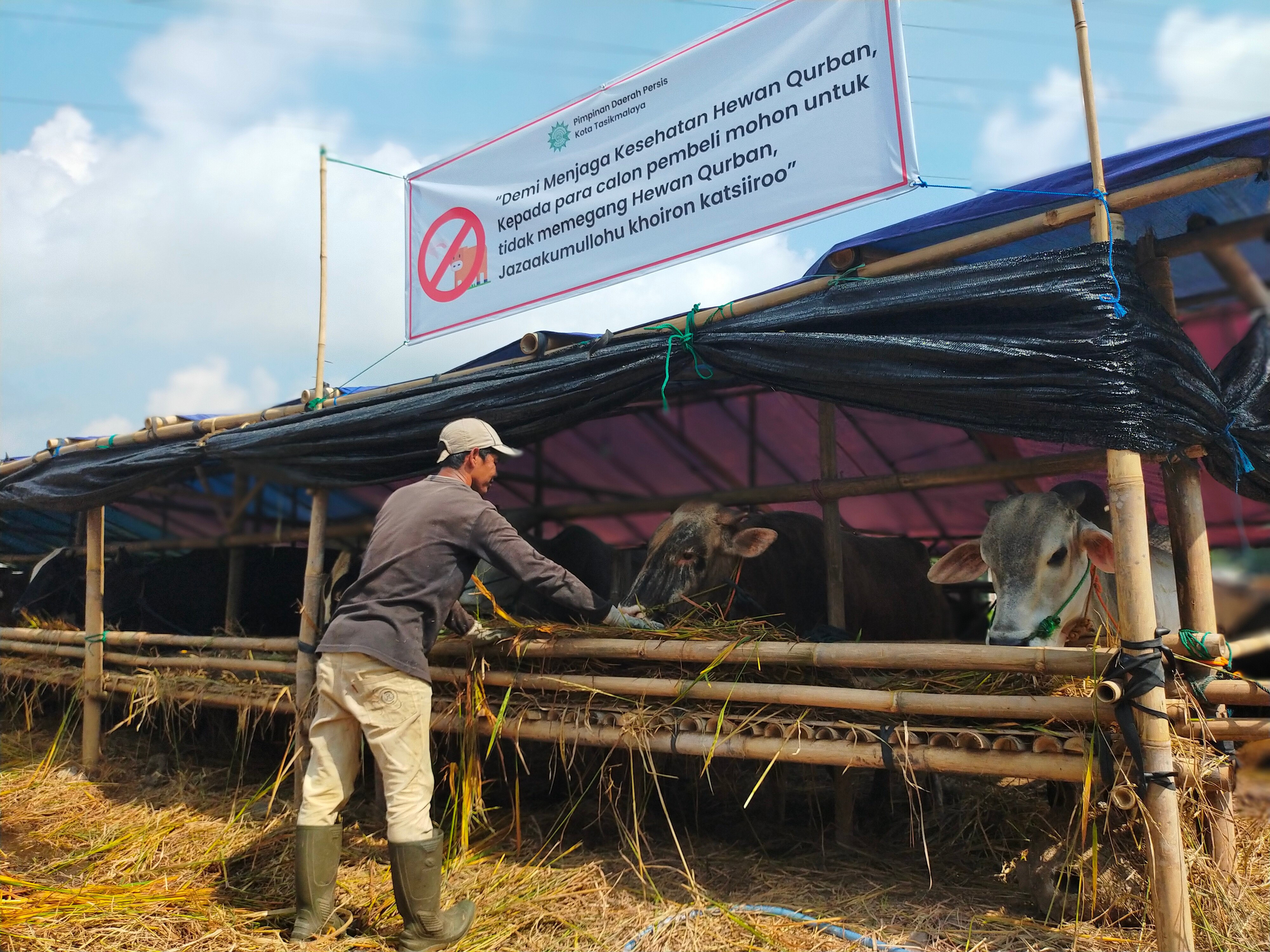 Ilustrasi: Penjualan hewan kurban