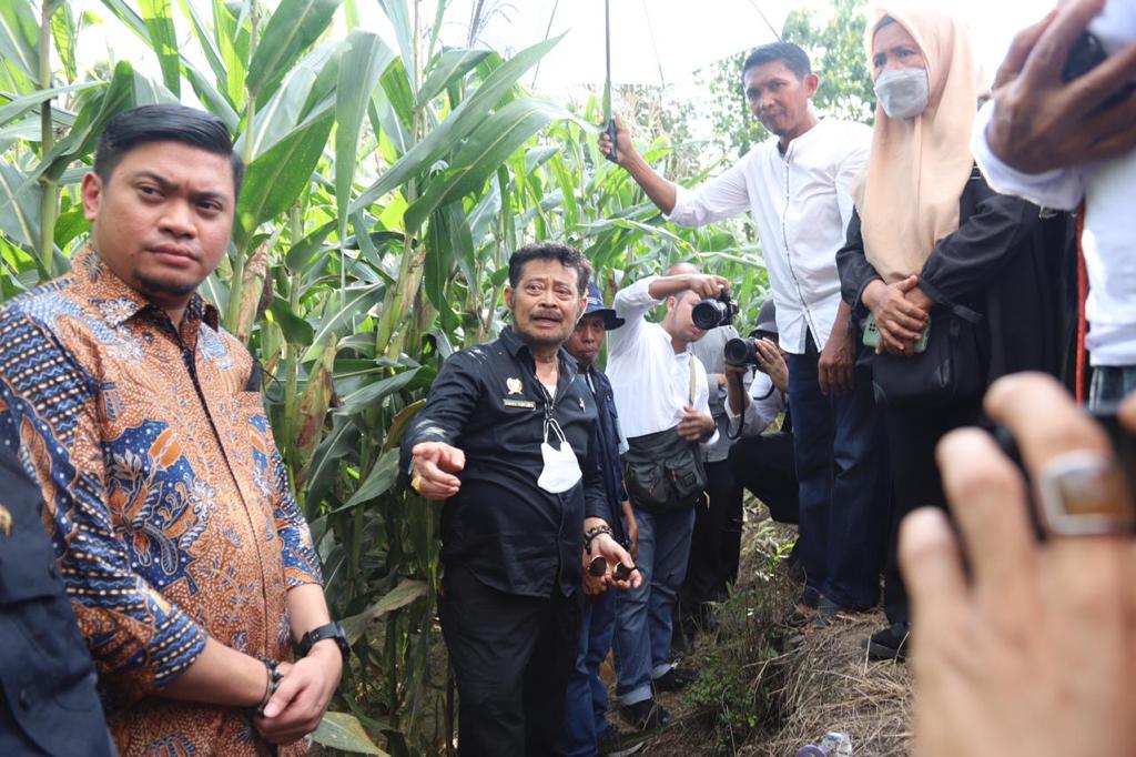 Mentan SYL melihat langsung varietas jagung dua tongkol di dua tongkol di Desa Botonompo, Kabupaten Gowa, Sulsel.