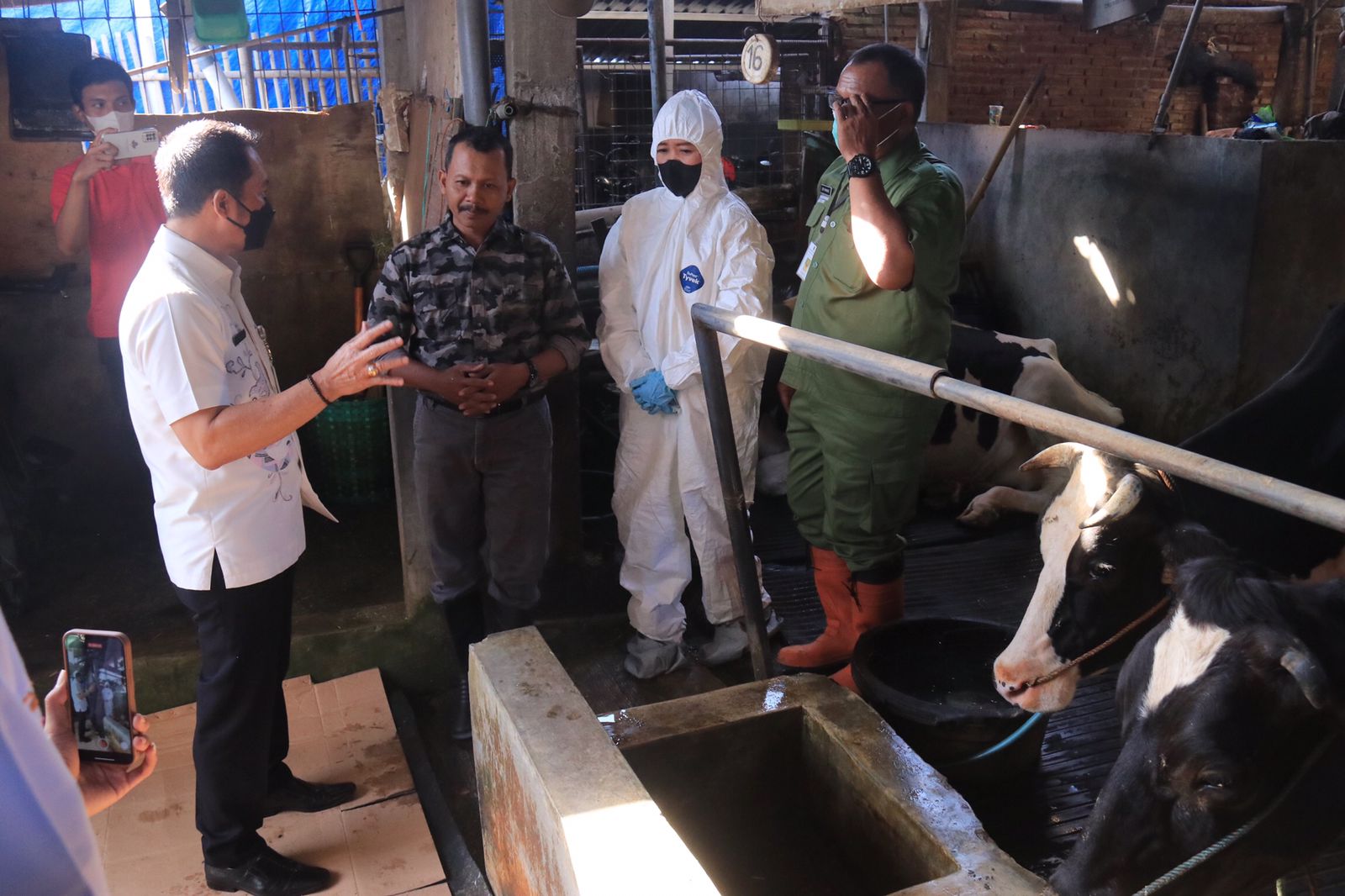  Bupati Kudus memantau pelaksanaan vaksinasi sapi cegah PMK di Desa Garung Lor, Kecamatan Kaliwungu, Kudus, Jawa Tengah, Kamis (30/6).).