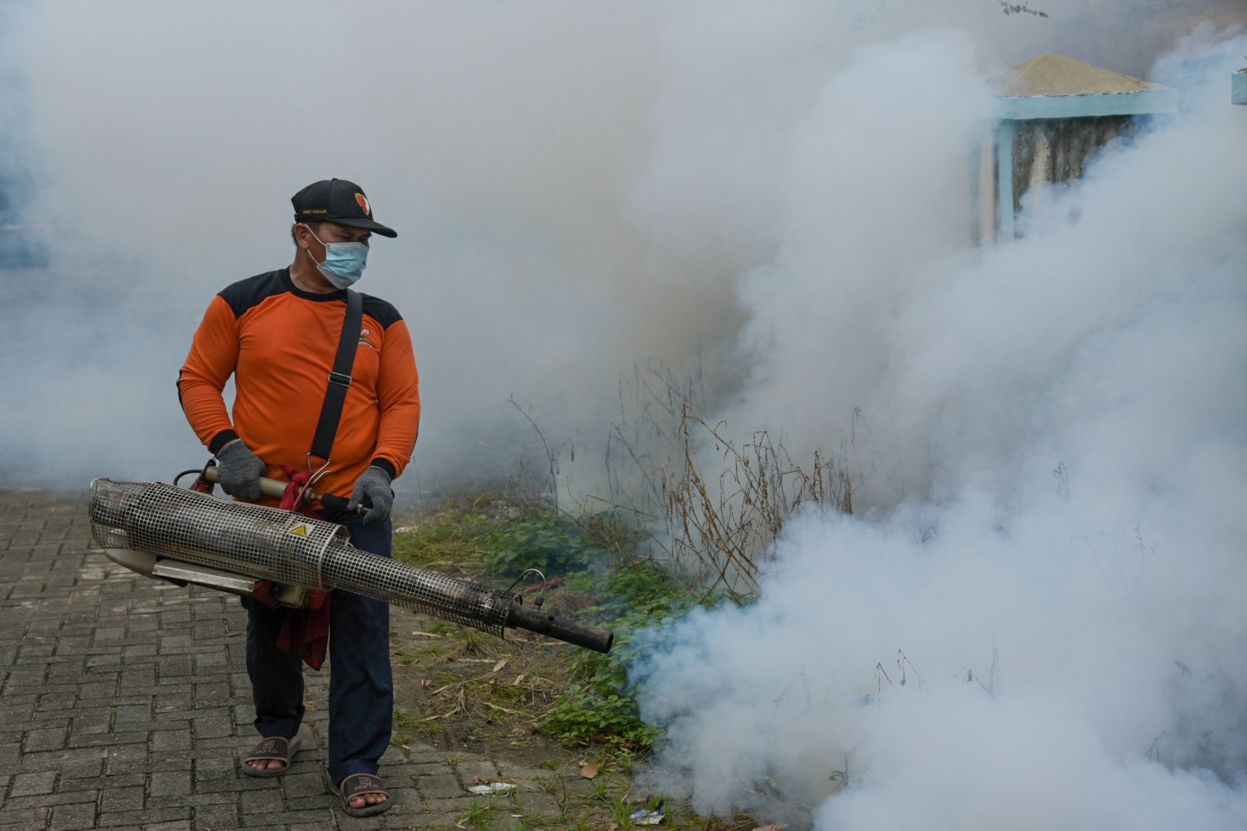 Kemenkes: Kasus DBD dalam Dua Tahun Terakhir Menurun