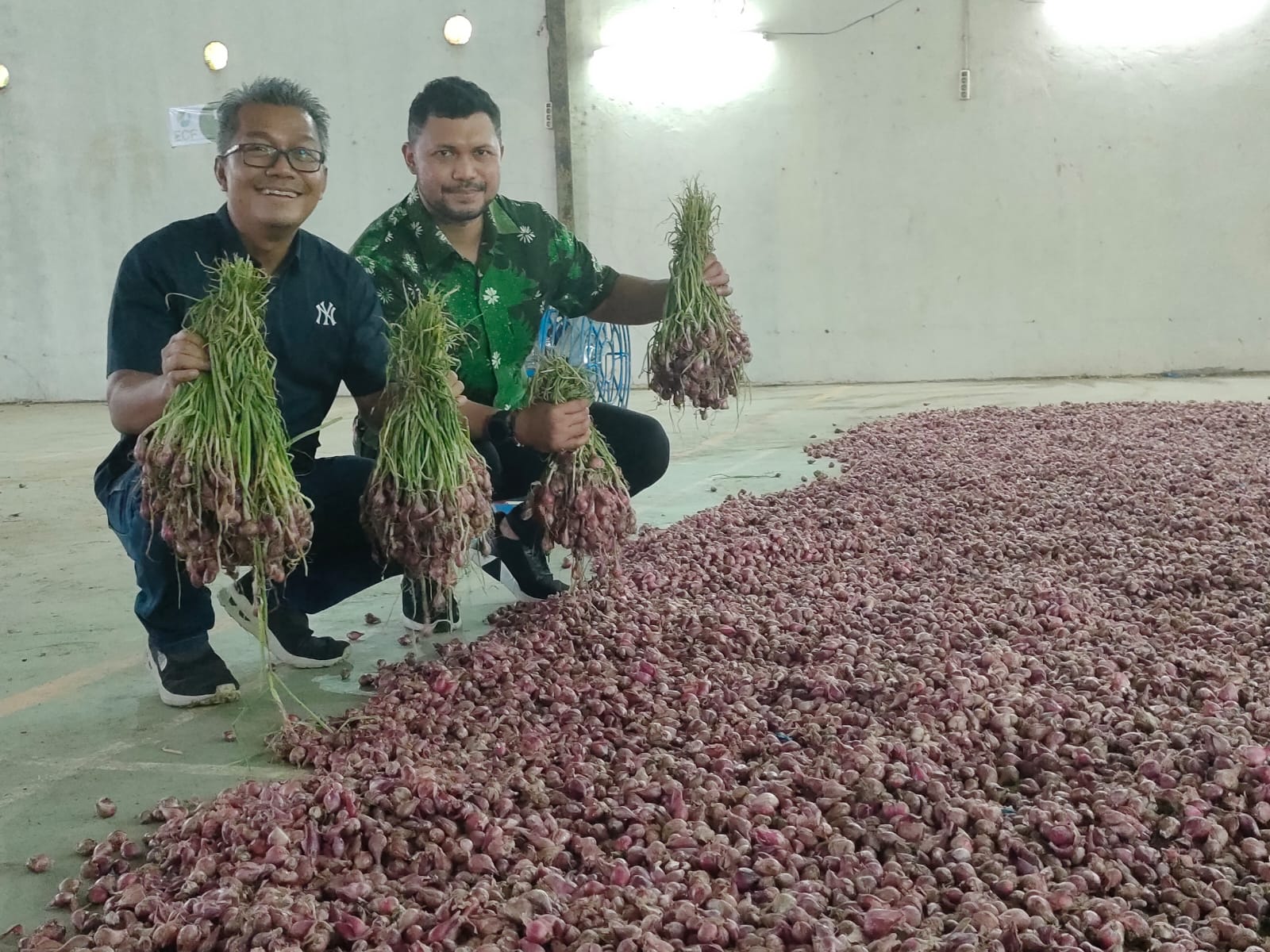 Salah satu komoditas unggulan dari Brebes adalah bawang merah.