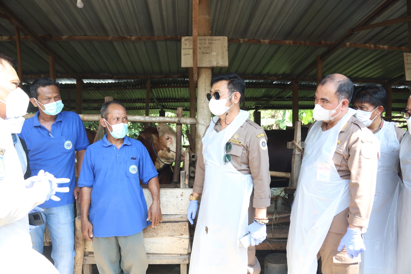 Mentan Syahrul Yasin Limpo memimpin Vaksinasi Perdana dan Apel Siaga Penyakit Mulut dan Kuku (PMK) di Jawa Tengah.