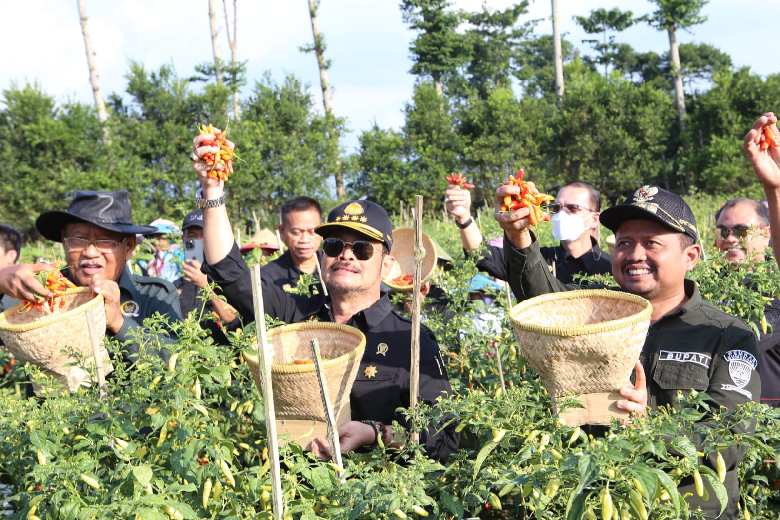 Mentan Syahrul Yasin Limpo melakukan kunjungan di Desa Sukawangi, Kecamatan Pamulihan,Sumedang, Jabar, dalam rangka panen raya cabai.