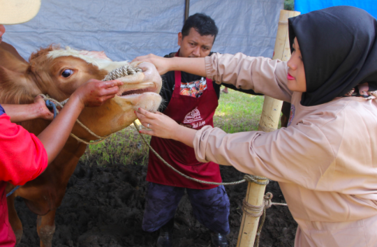 Idul Adha Sarana Dekatkan Diri kepada Allah dan Sesama Manusia