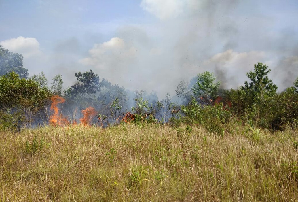 Kebakaran hutan dan lahan (karhutla)
