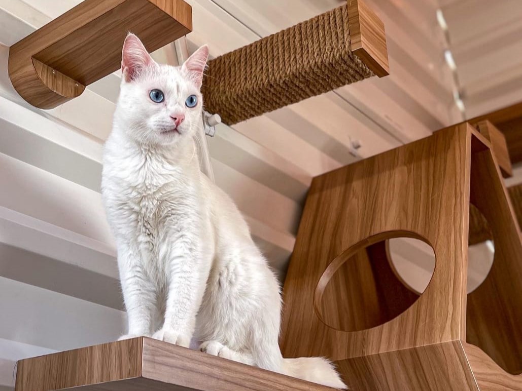 Wall playground untuk Winter Family.