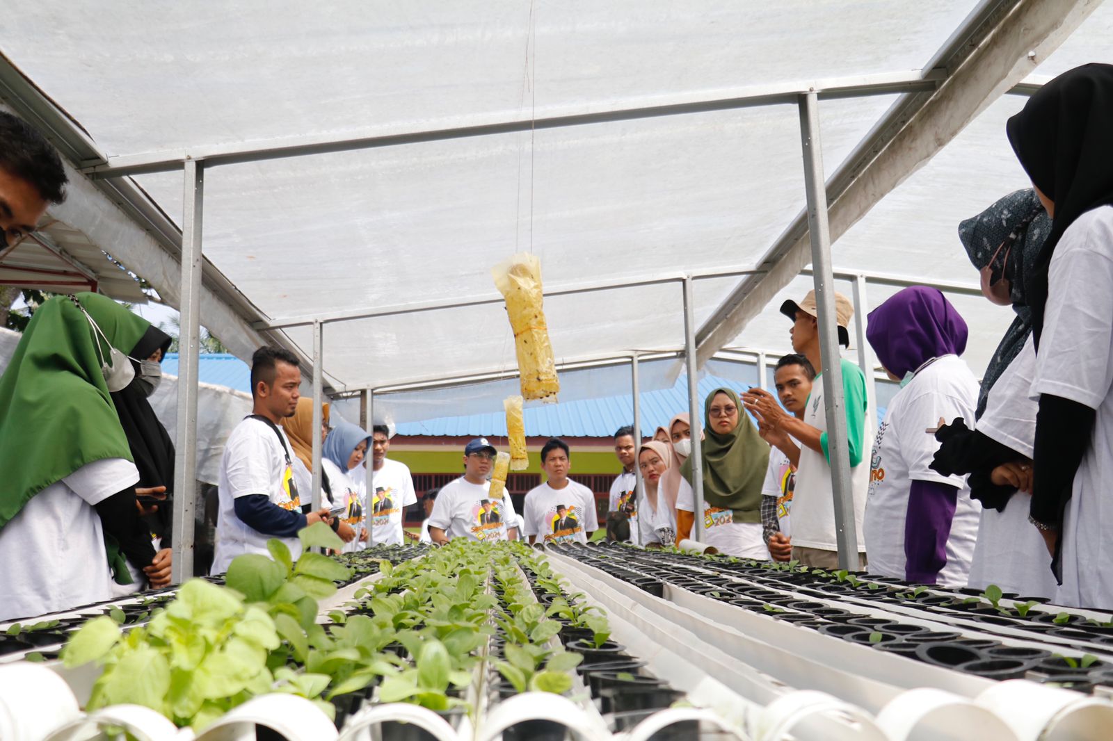 Pelatihan budidaya hidroponik yang digelar Teman Sandi di Binjai.